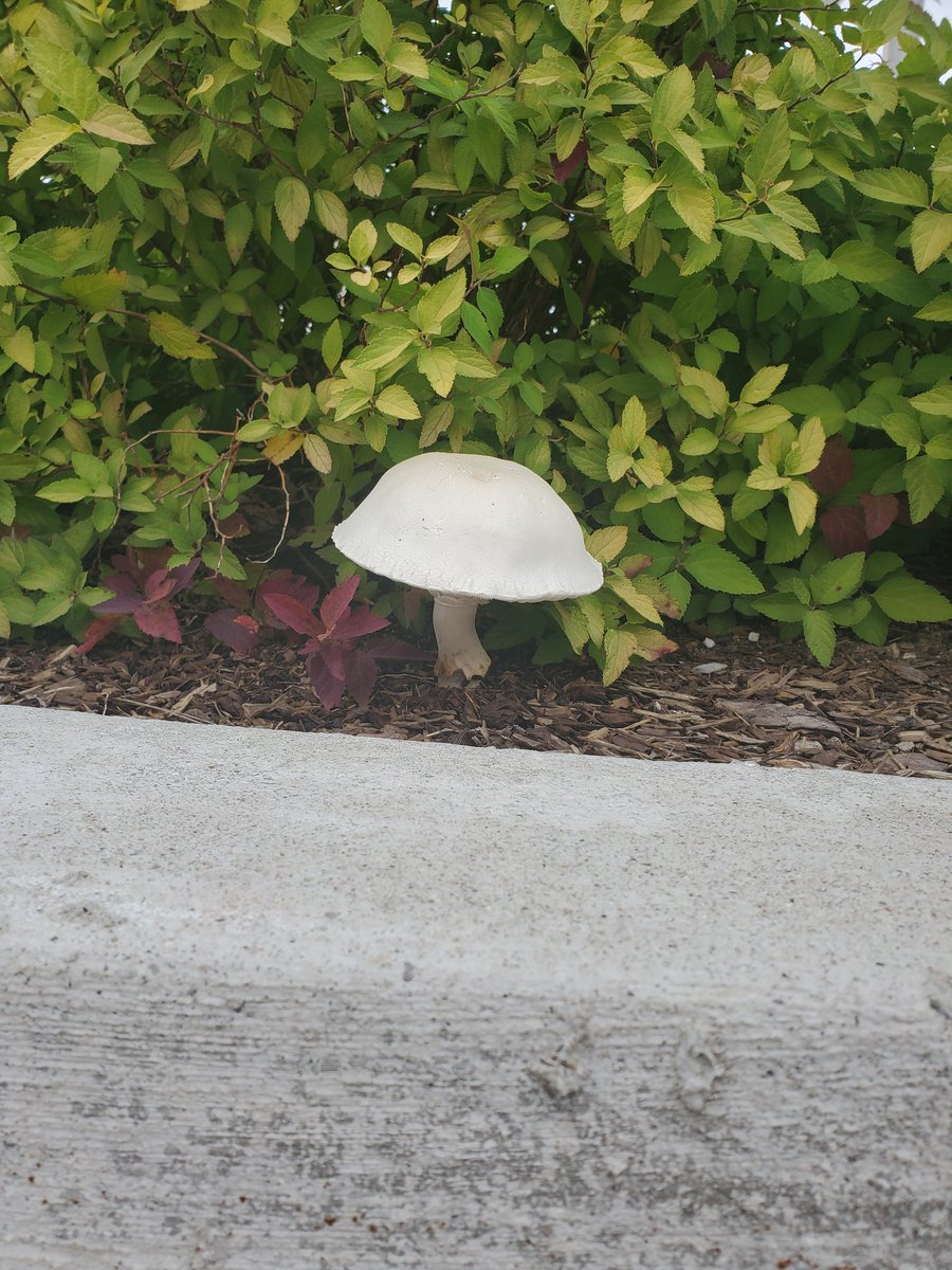 Sabrina Renaud (@sabrinarenaud5) on Twitter photo 