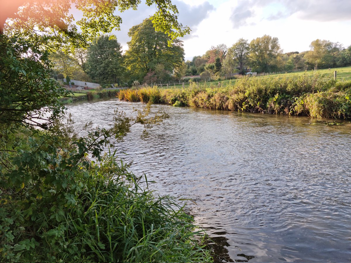 JustThatLucy1's tweet photo. First day's PROPER rest in...ages. Can't work (no lappy), can't fix stuff (300 miles away), can't train (no kit). Even the river at the bottom of my mum's garden is too shallow to do anything but relax next to. π #FinallyStopped #CrashedAndBurntThisMorning #BestPlaceForItThough https://t.co/GO4Ss4vzXc