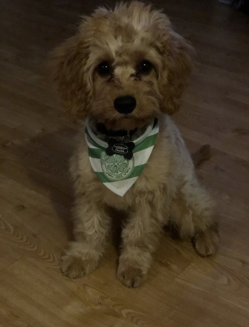 TaylorBryceland's tweet photo. @CelticFC Yaaaaaas https://t.co/kC8pqxEn28