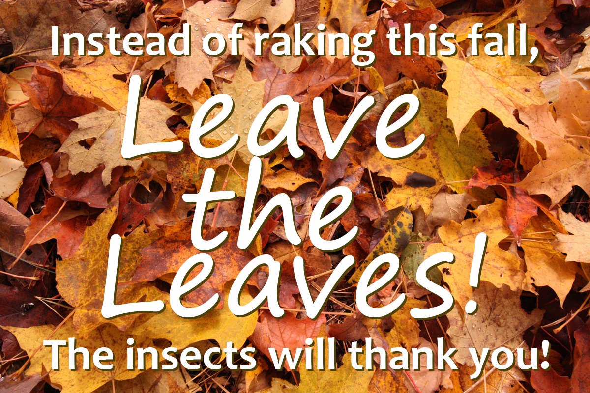 West Multnomah Soil & Water Conservation District tweet media