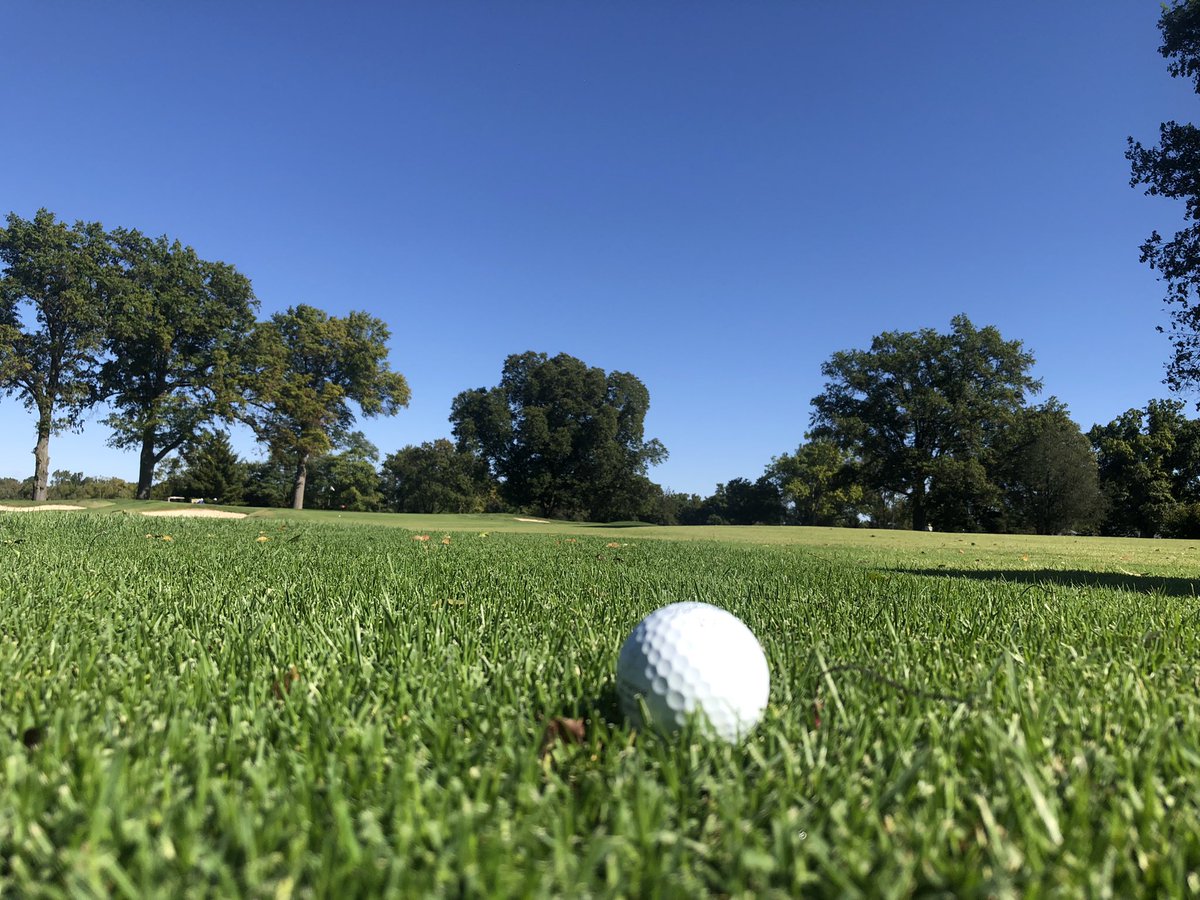 terrymeiners's tweet photo. New driver. Who dis? @BigSpringCC 

So far, China’s shaft is not trying to overpower Taiwan’s head. ⛳️  #fallgolf #Kentucky https://t.co/V76XpYlmXP