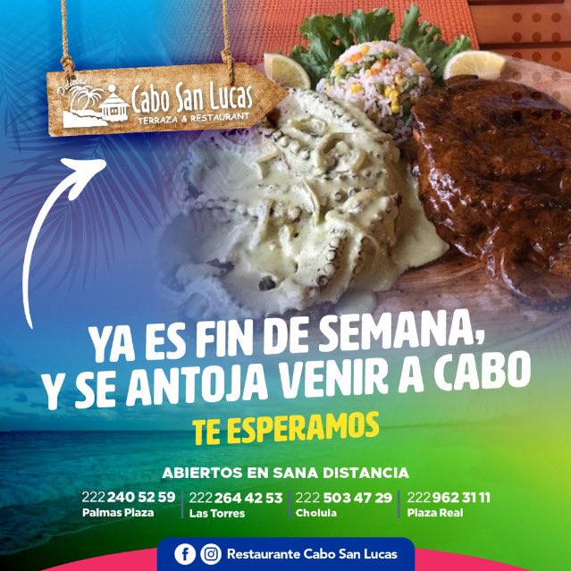 ResCaboSanLucas's tweet photo. RESTAURANTE CABO SAN LUCAS.
ABIERTO
#octubre 
#mariscos #sanadistancia 
#reserva 
Marca a tu sucursal más cercana: 
 •Sucursal Torres (Matriz) 
📞2222644253
 •Sucursal en Plaza Real
📞2229623111 
•Sucursal frente Angelopolis 
📞2222405259
•Sucursal en CHOLULA
📞2225034729 https://t.co/udxa3JuhPV