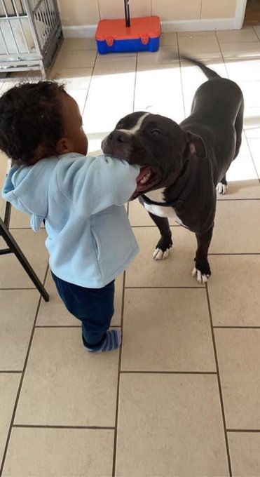 it&rsquo;s to early for this 😂😂😂😂😂 dog took his grape he want his shit back https://t.co/qrCP9qrkiy<a href="/tag/aquarius"class="tags"><span>#aquarius</span></a>