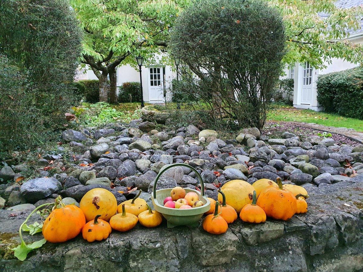 CroanCottages's tweet photo. A lovely Autumn day and time to pick some pumpkins and apples for guests to enjoy🍂🍎🎃 https://t.co/73jGp6Vvkw