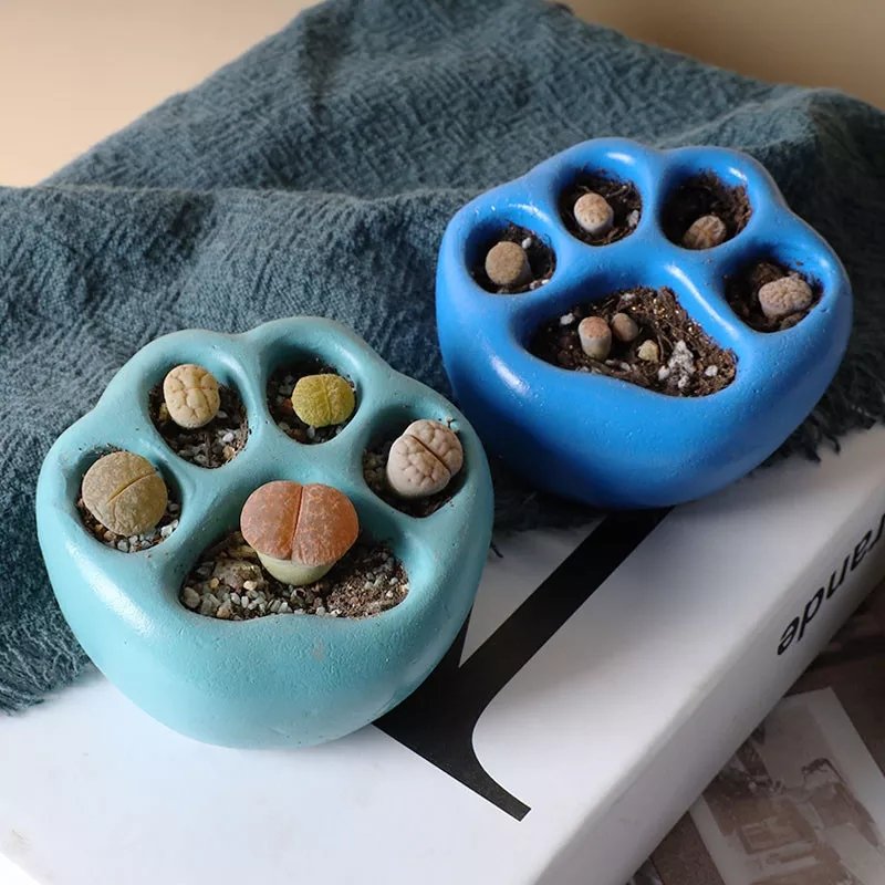 chalchal🌵 tweet media