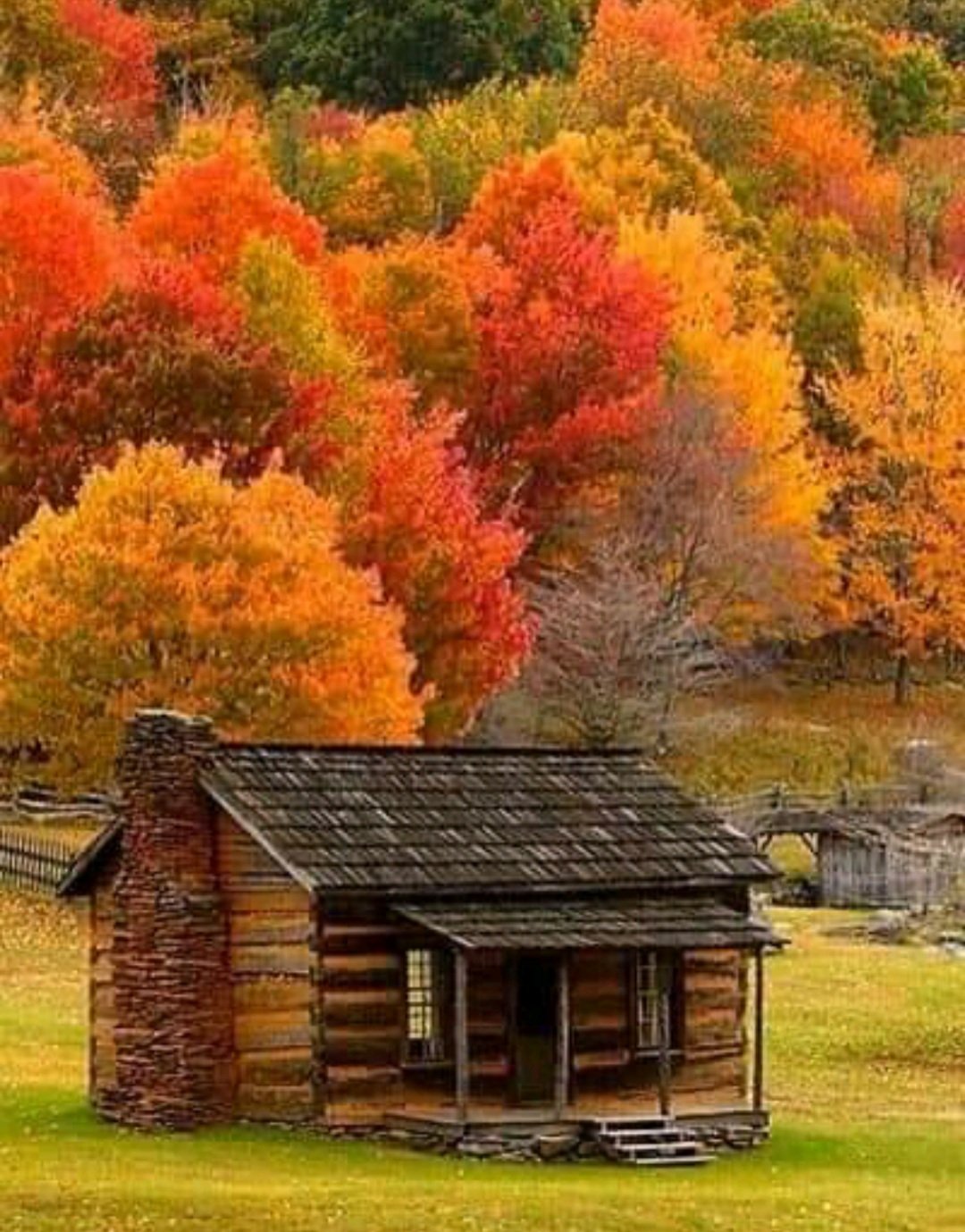 Autumn Cabinet