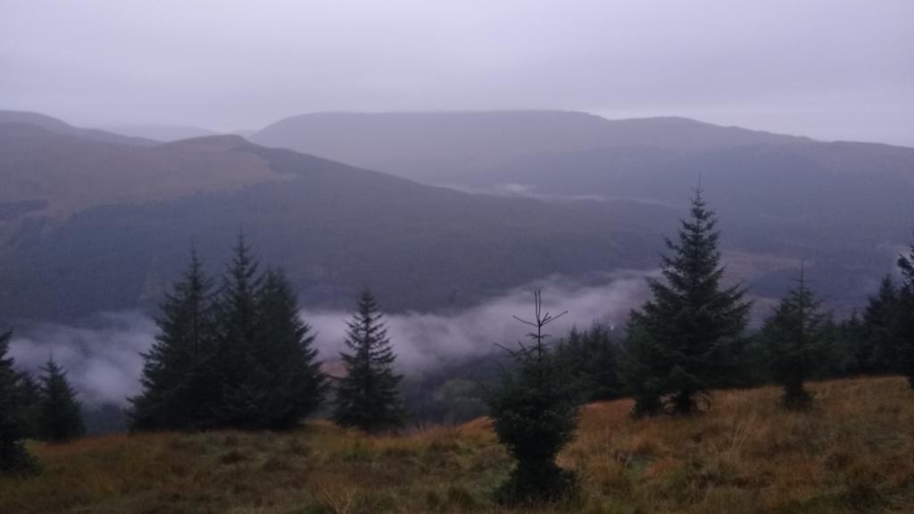 forest_dynamics's tweet photo. Rainy evening in Glen Orchy https://t.co/ilGHAm9F6D