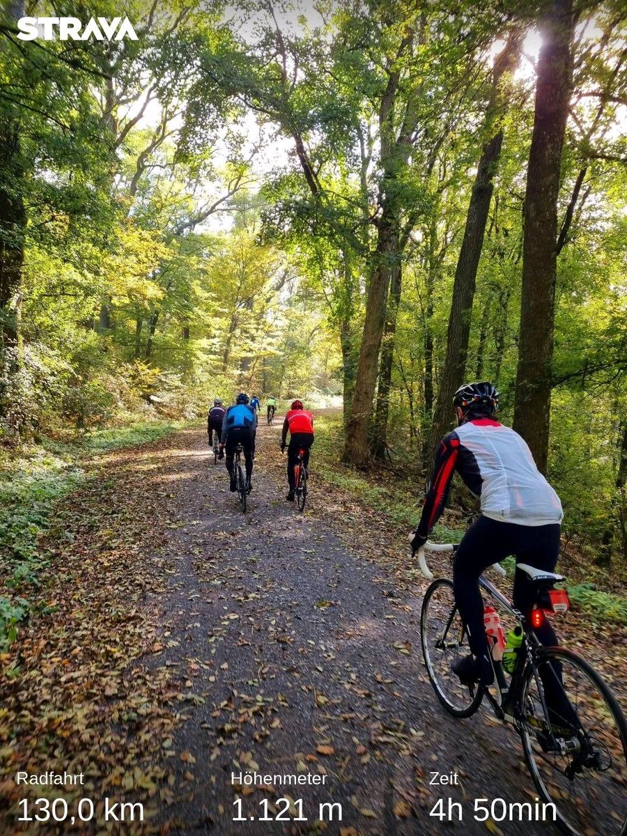 Zu einer herbstlichen Runde durch den bunten Blätterwald 🌿🍂 des #Nordsteigerwald|es hatte heute <a href="/RMVCHirschaid/">RMV Concordia Hirschaid</a> geladen. Traumhafte Runde mit dem #Rennrad von #Hirschaid