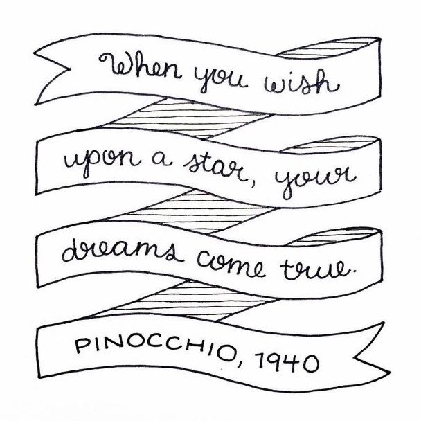 ✨