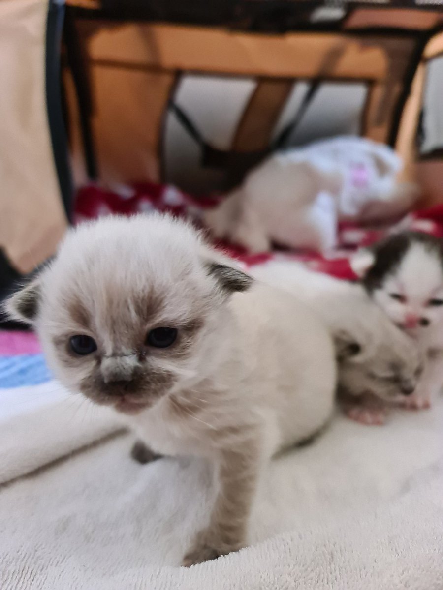 Social Ali tweet media