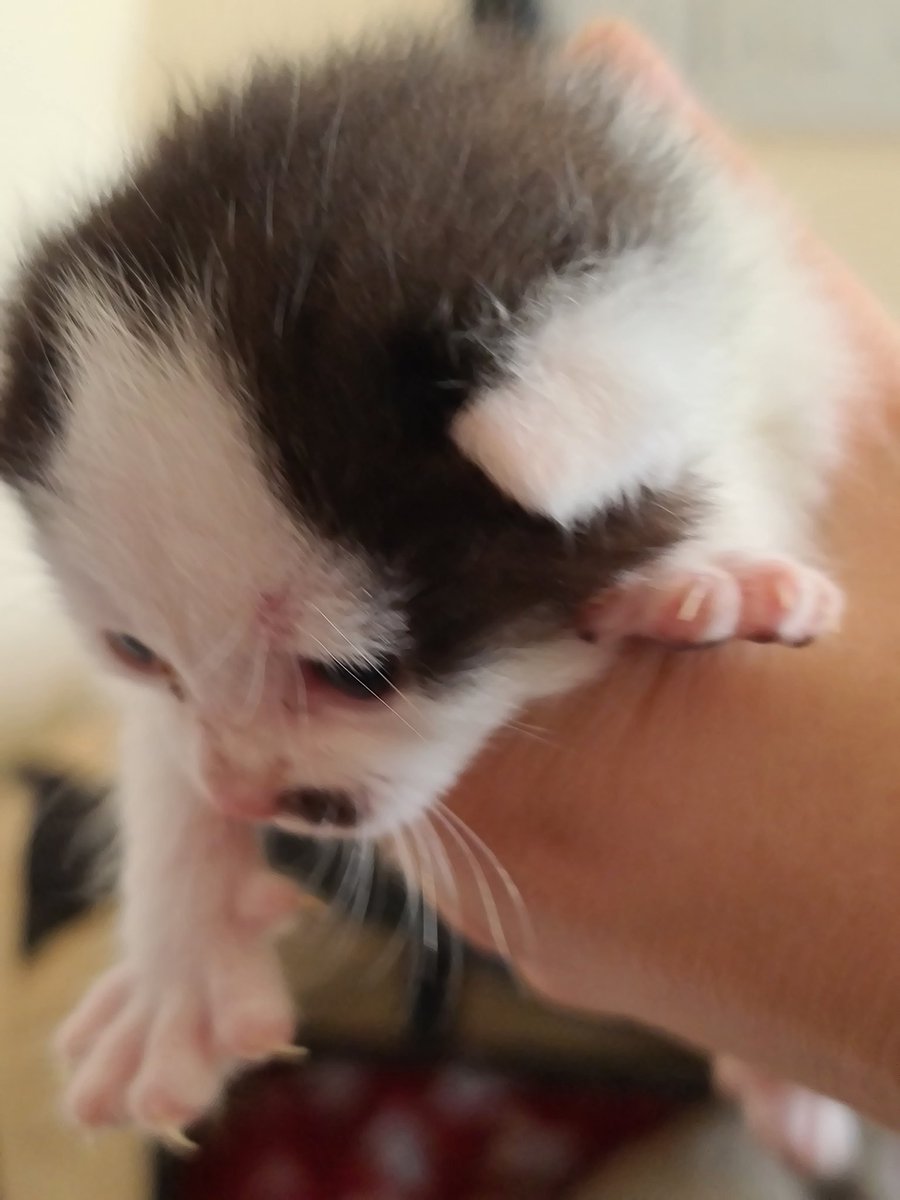 Social Ali tweet media