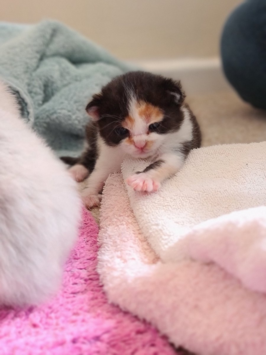 Social Ali tweet media