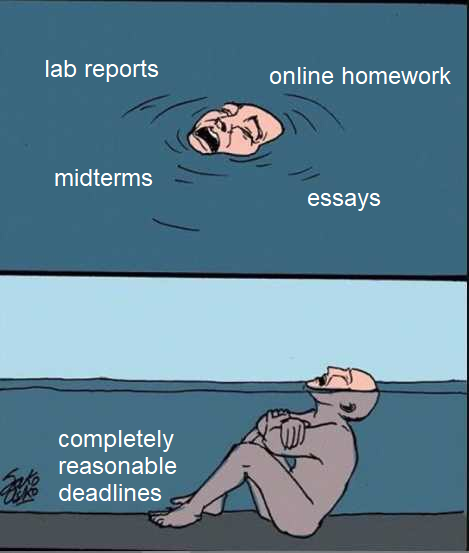 me irl