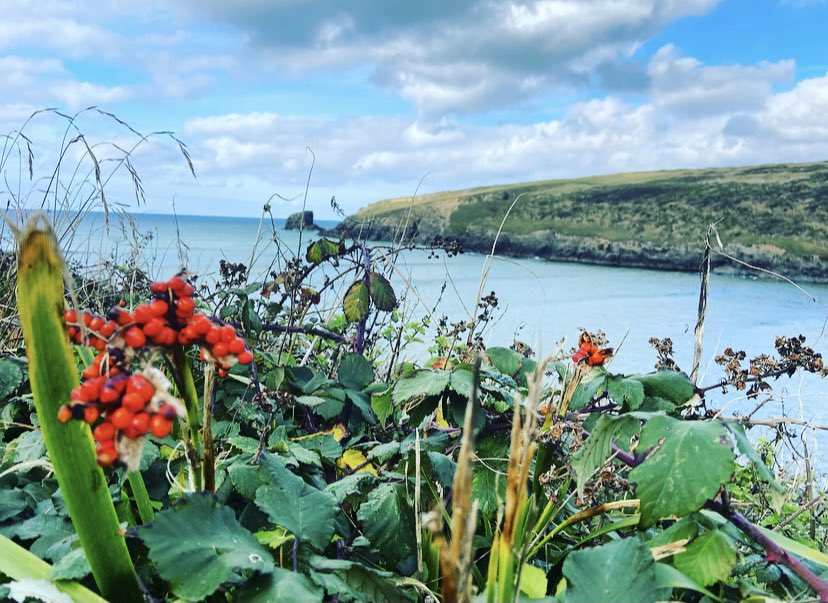 HornabrookLels's tweet photo. Swims and pasties #porthcothan #goldenburn #trescore #kernow #cornwall @beauty_cornwall @Intocornwall 🧜‍♀️ 💕 https://t.co/sAMyTn5VNz