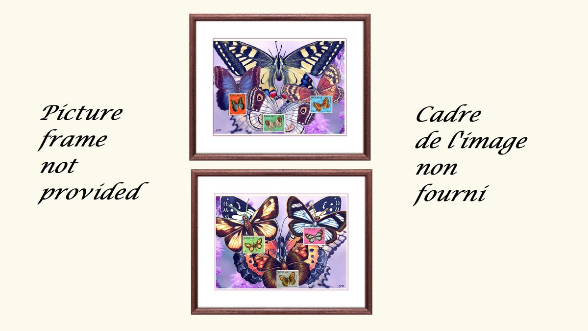 barbierjeanf's tweet photo. The Butterfly Dance, digital art
https://t.co/CiS88HaJXC
#Butterflies #MulticoloredInsects #AnimalsFauna #Philately #WorkOfArt #ColorPrints #NatureArt #DigitalArt #WallDecor #LivingRoomDecor #SingleSignedModel #VintageStamps #ArtAndCollectibles https://t.co/op1riaPnBa