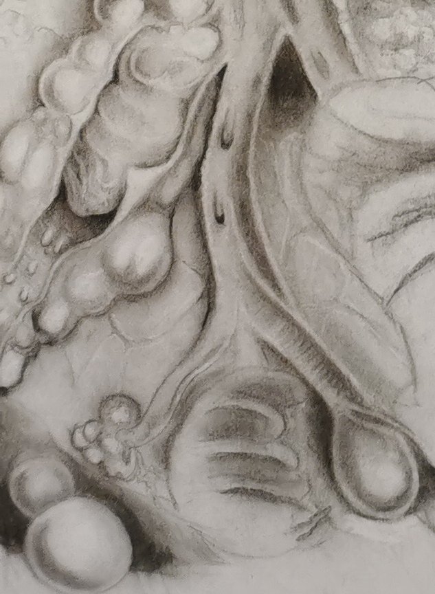 Something big is coming!
A little detail of a new large work #ArchaeologyOfTheSelf
#CanyonsOfYourMind #CarlJung #Symbolist #Surrealism #FeministSurealism #MagicRealism #Pencil #Charcoal #Drawing #Composite #AutomaticDrawing #Subconscious #Anatomy #ArtAndAnatomy #Pathology #Art