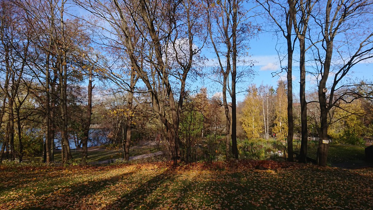 dittography's tweet image. Resistosphere exhibition by Kianoush Ramezani