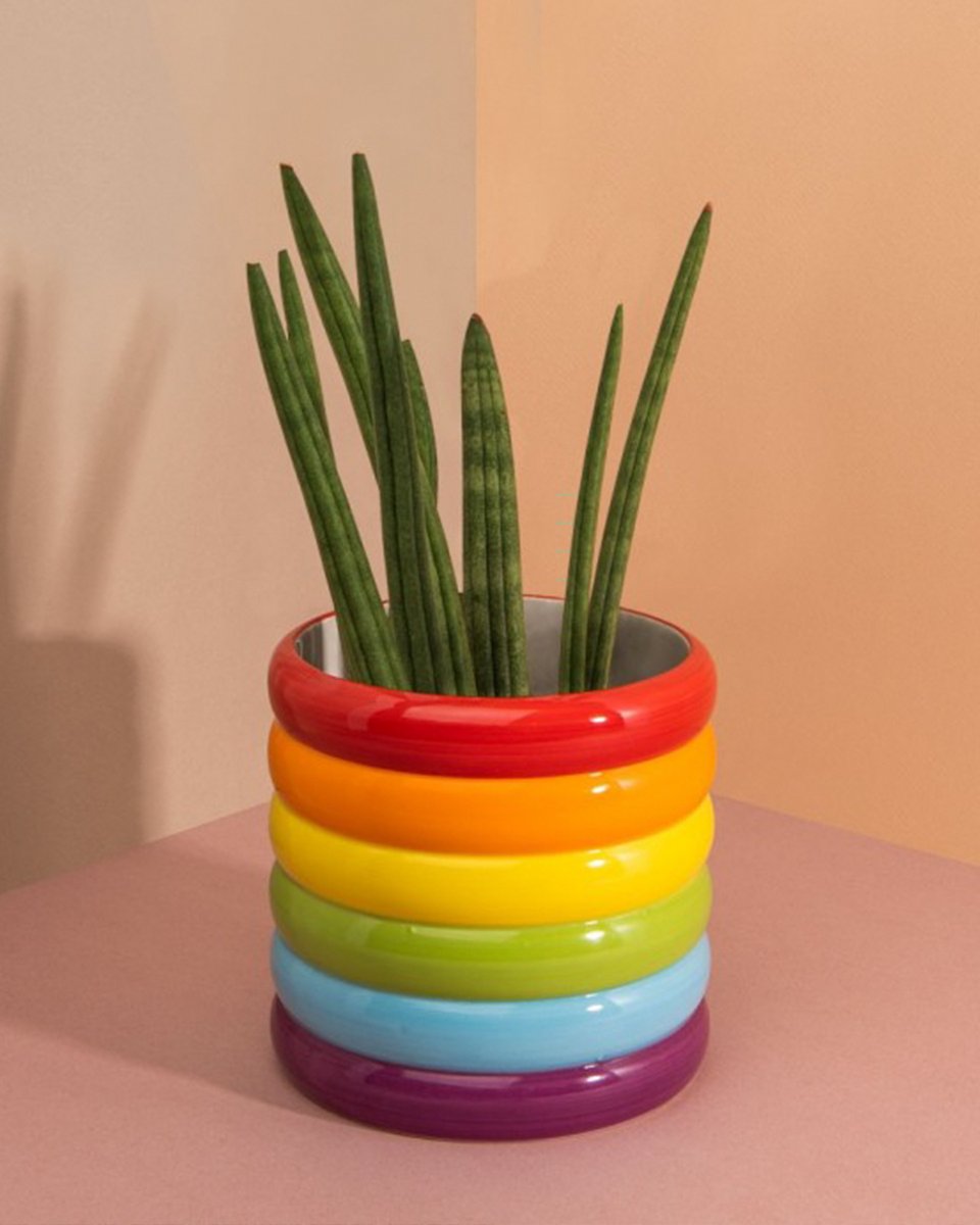 If it ain't rainbow we ain't interested 🌈🌈🌈