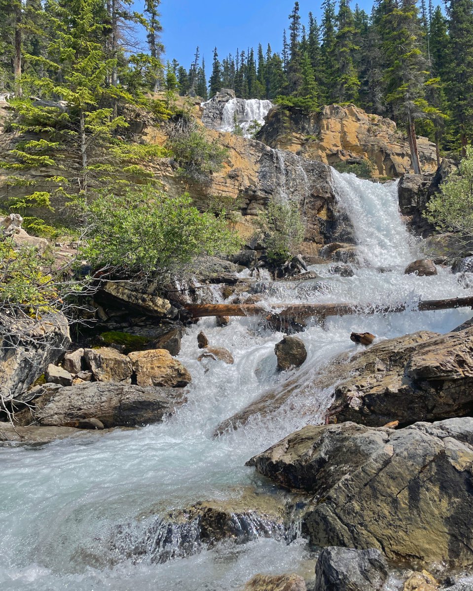 EricTAdventures's tweet photo. Tangle Creek Falls
https://t.co/ip8YFJ05Pi
#tanglecreekfalls #columbiaicefields #tanglefalls #icefieldsparkway #hikealberta #canadianlandscape #travelalberta #waterfalls #beautifuldestinations #explorecanada #explorealberta https://t.co/8BMA2GAIC5