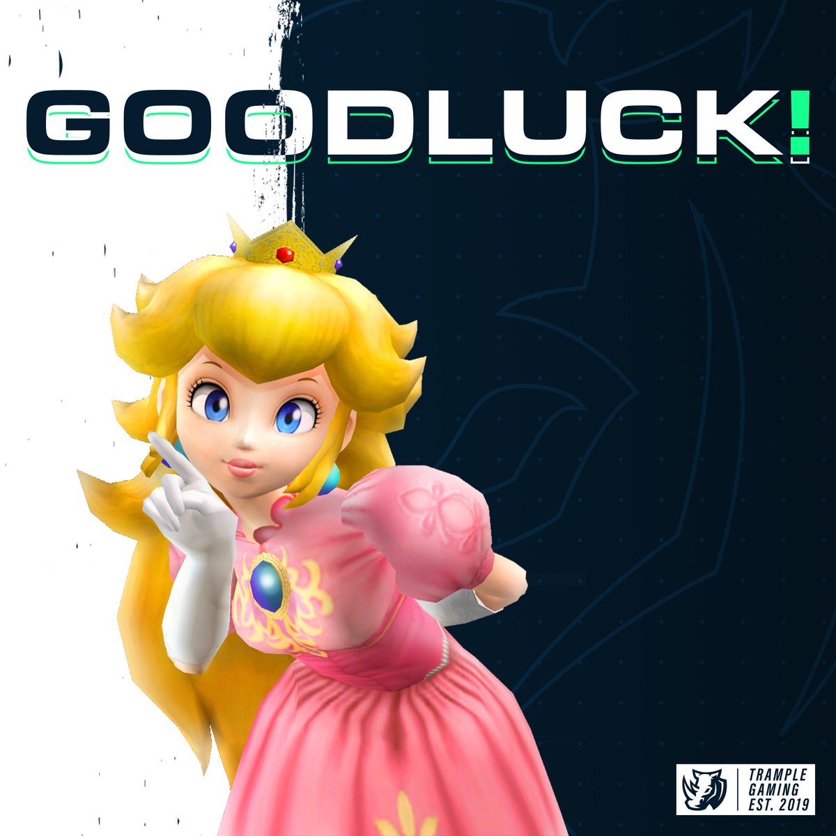TrampleGaming's tweet photo. Keep up with Fate and C as they begin their run in the @SuperSmashCon Melee bracket! https://t.co/XufhdSdYti