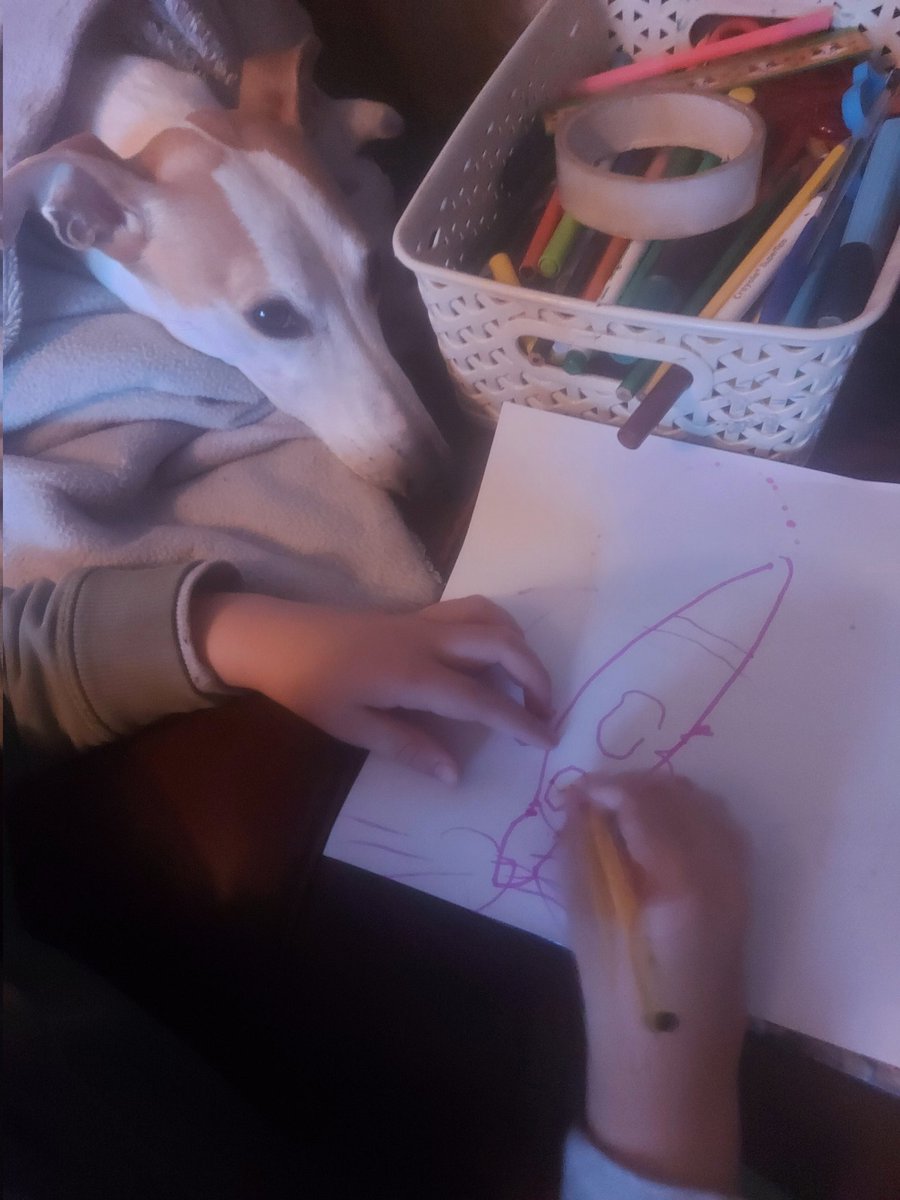 RuthMuir6's tweet photo. This little person rarely draws or writes as he thinks he's 'no good.' Leave him in peace with his bestie and off he goes 🤩#mansbestfriend #rocketship https://t.co/4G6PMaG9k9