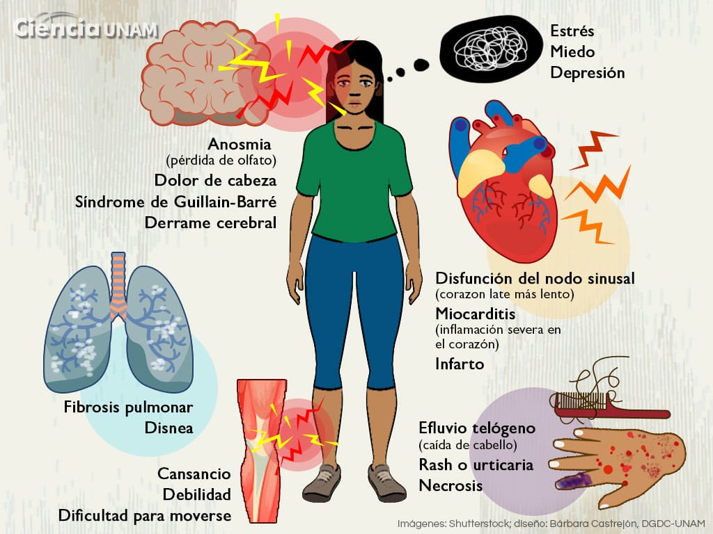 Cuanto tarda en curarse la gripe