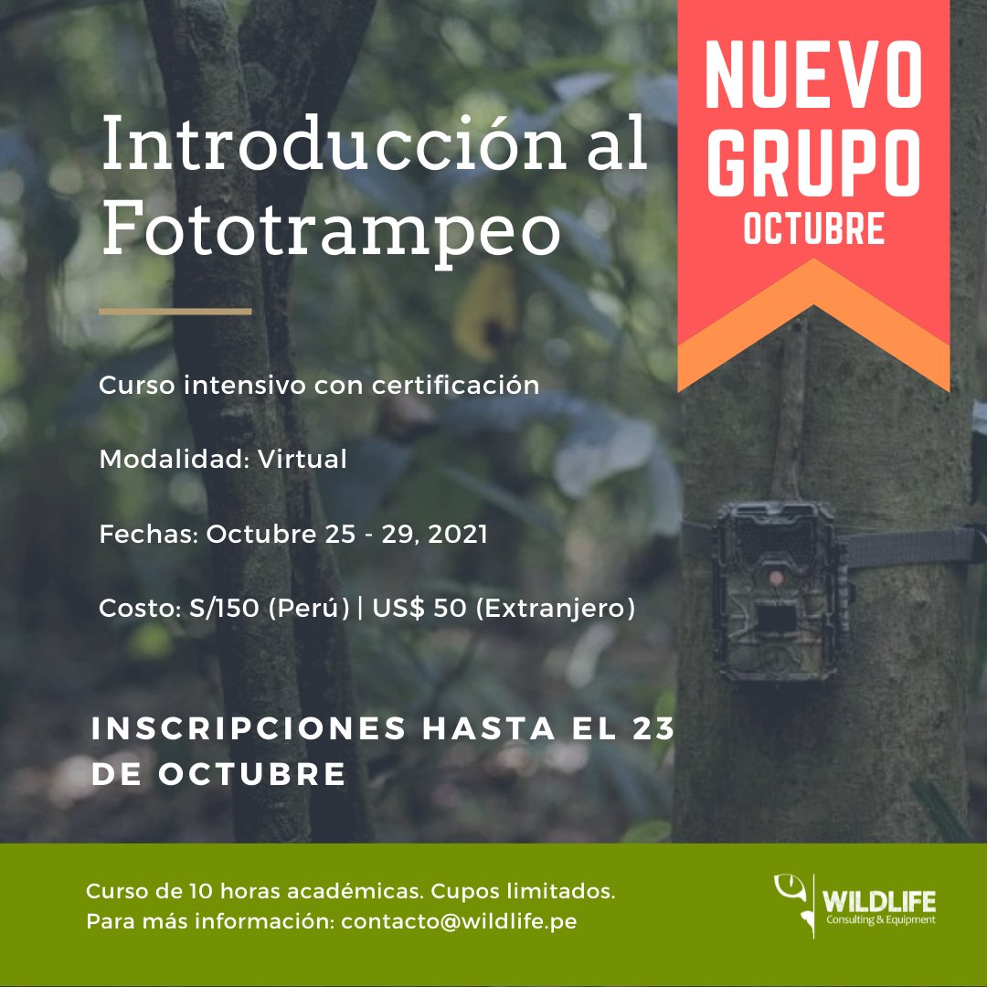 Wildlifepe's tweet photo. Nuevo grupo abierto para el curso "Introducción al Fototrampeo". Este se dictará entre el 25 y 29 de octubre.

Más información: https://t.co/0NaWnEqyD7 https://t.co/X7ZhUVRv6Q