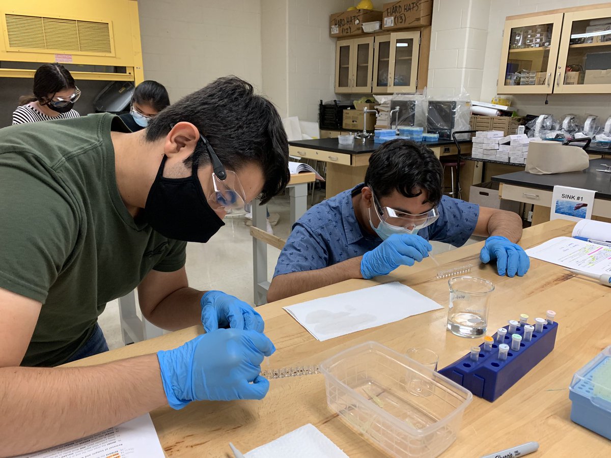 MrsErikaDMtz's tweet photo. LFHS PLTW BMS Medical Interventions students conducting the ELISA lab, a lab that is performed by BMS professionals around the world daily. #CareerPrep #PLTWBMS #RealWorldExposure #ProblemSolvers https://t.co/D1CVgK9Z4T