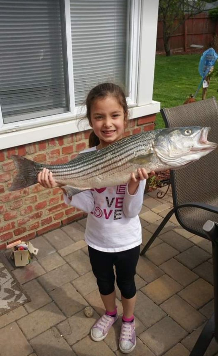 ferris316's tweet photo. @CaptMarciano When you fish with good ppl you never go wrong
#KaseyRose
#FlukeSlayer
#Captree
#CaptreeDocks
#LongIsland https://t.co/oSCJTFAmzI