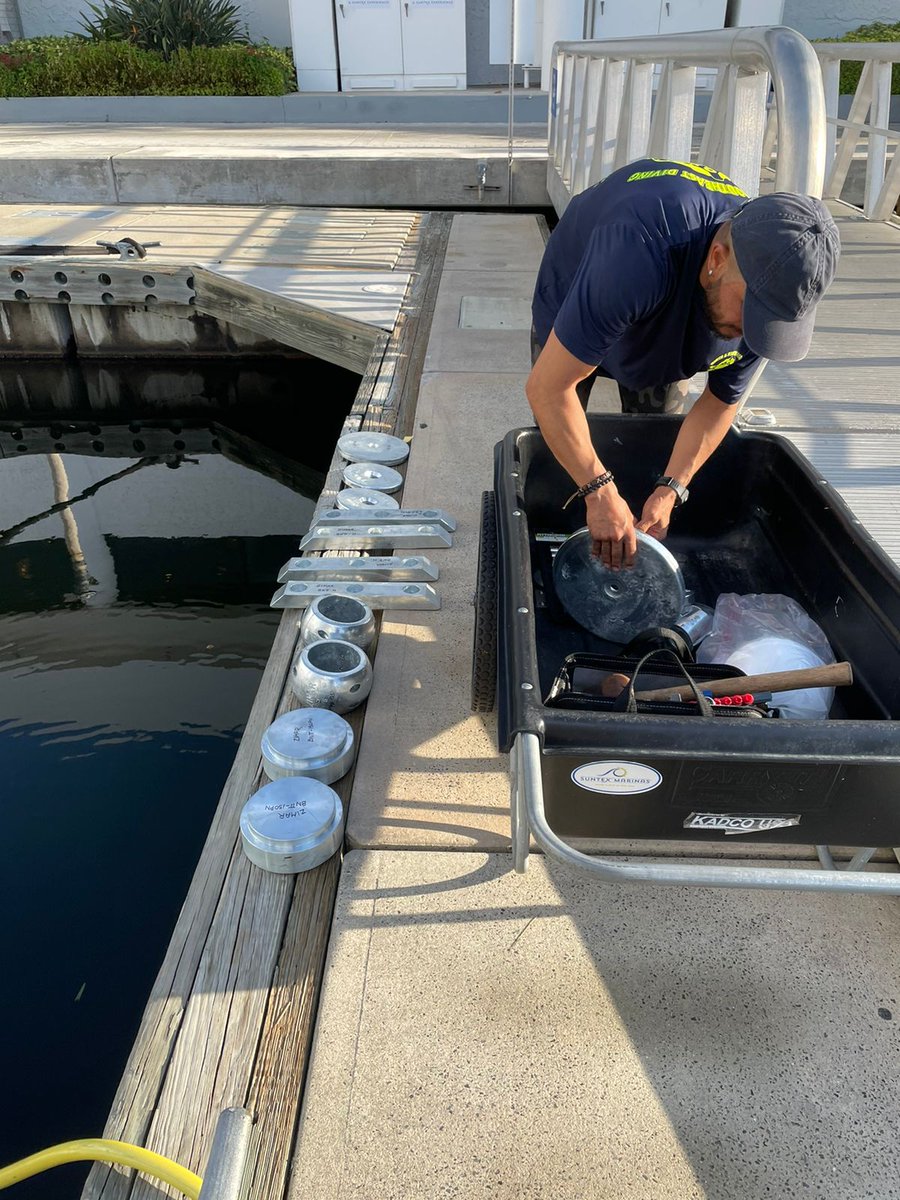 Southeast Diving Services (DivingSoutheast) Twitter