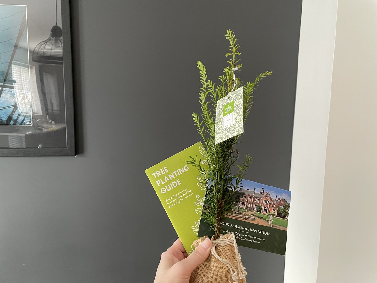 revhayley's tweet photo. Thank you High Leigh Christian Conference Centre for the Yew Tree via @baptistuniongb #itsafirst #highleigh #hoddeston #christiancentre https://t.co/Y0zw1W5aaP
