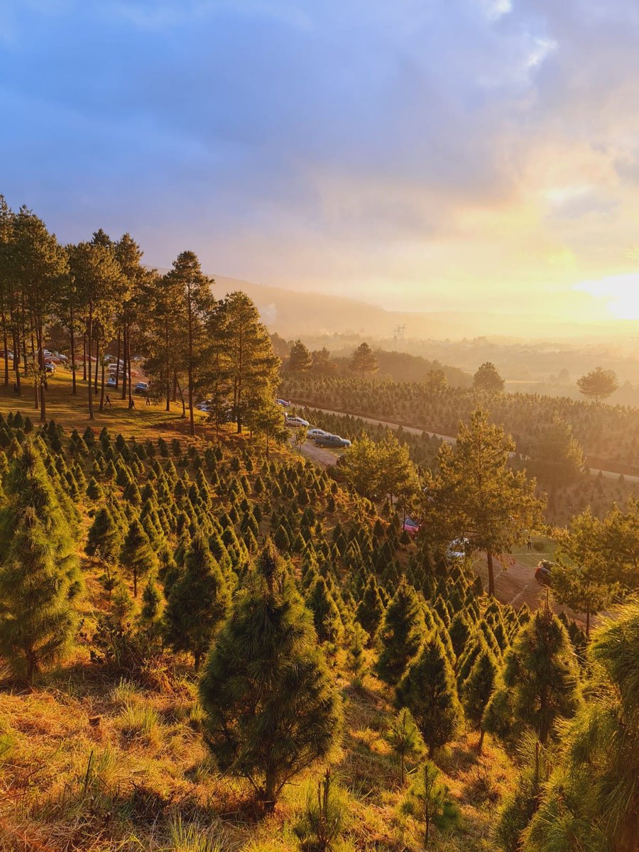 Se aproxima una de las temporadas más bonitas, en la que puedes visitar #LasVigas y encontrar estos paisajes 
#TodosPorLaAventura
#TodosPorLaCultura
#RegiónXalapa
#LasVigas
#Octubre
#TurismoResponsable 
#VisitMéxico