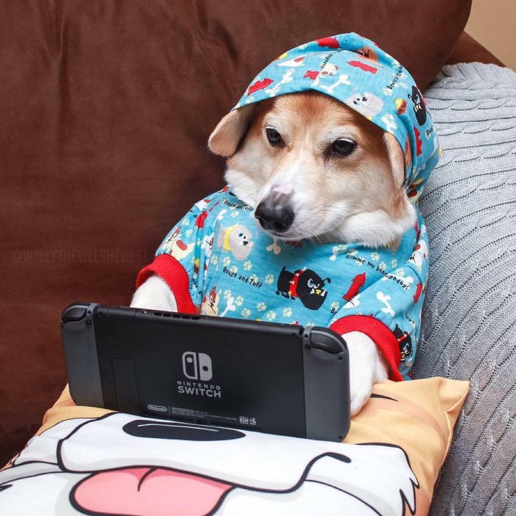 PAVGOD's tweet photo. when ur chillin in ur jammies https://t.co/XvnzUkaDEG