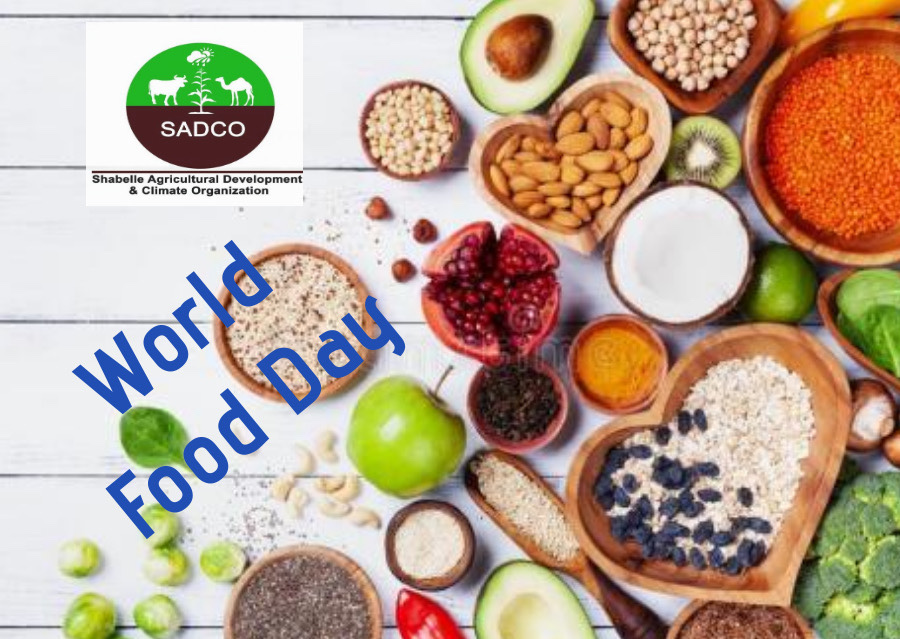 SadcoOrg's tweet photo. Happy World Food Day 2021
Our action are our future.
🟩 Better Production
🟩 Better Nutrition
🟩 Better Environment
🟩 Better Life
#Sadco https://t.co/fBLCZEaUZg