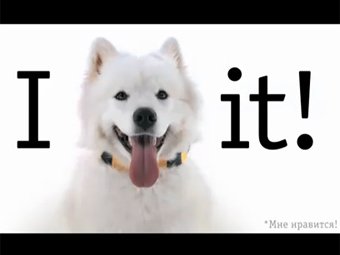 It like net