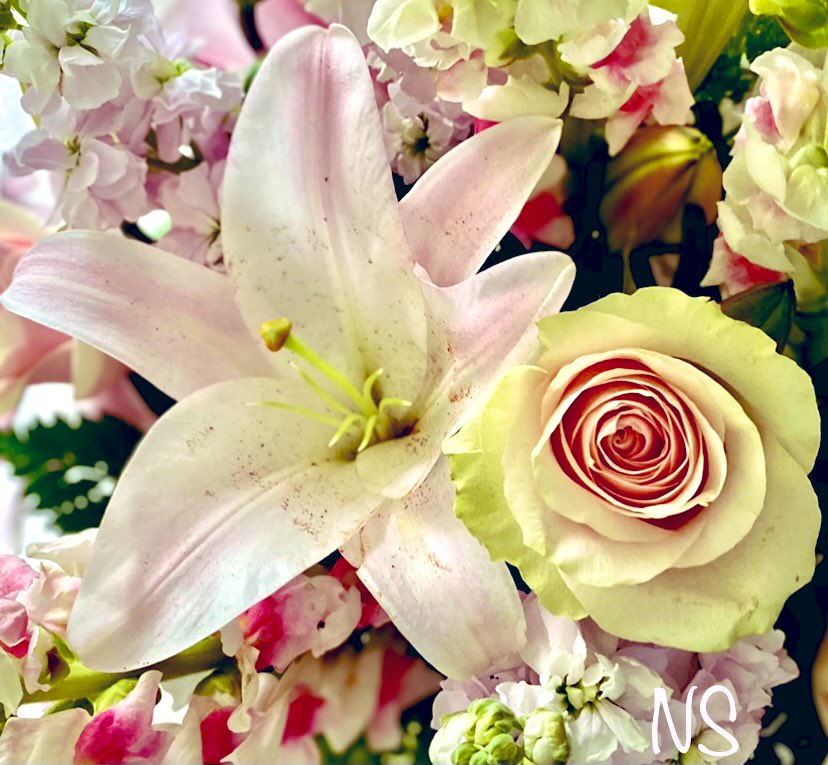 nsaidian's tweet photo. Happy Weekend 💝 https://t.co/uWwLlLAa3B