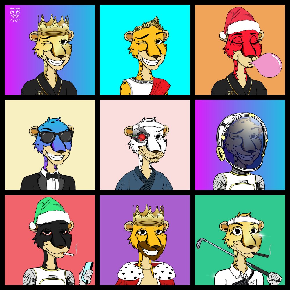 100 Cheetahs in Discord in just under 24 hours!😼

Here are some more teasers to give you a taste of what the Cheetahs are made of.👀

Keep in mind that we have a Virtual Museum in the works. You won't want to miss it! 

discord.gg/chadcheetahs

#SolanaNFT #ChadCheetahs #Solana