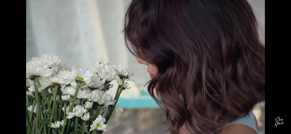 "Papatya seversin sen "
#SonYaz #akmur #selametle