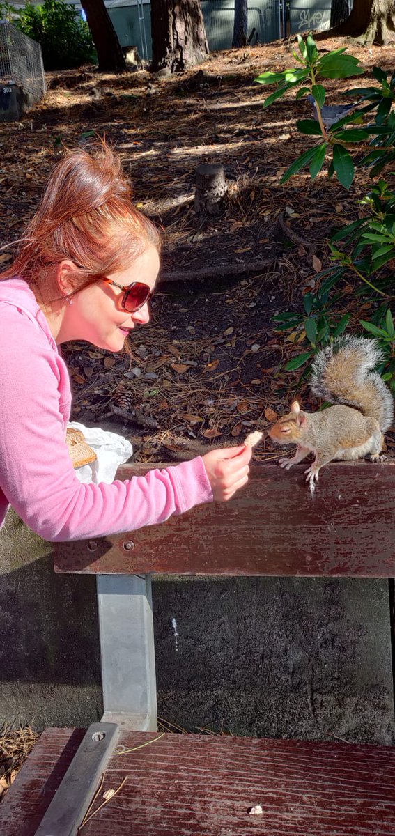 VeganPublishing's tweet photo. I made a little friend in Bournemouth ❤️ #AnimalOfTheDay #squirrel https://t.co/CVAQw8gAqa