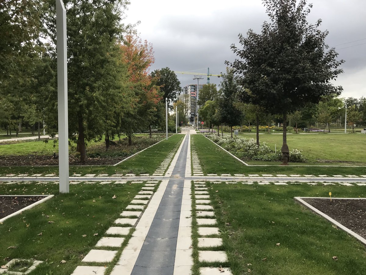 Arie Cees de Jong tweet media