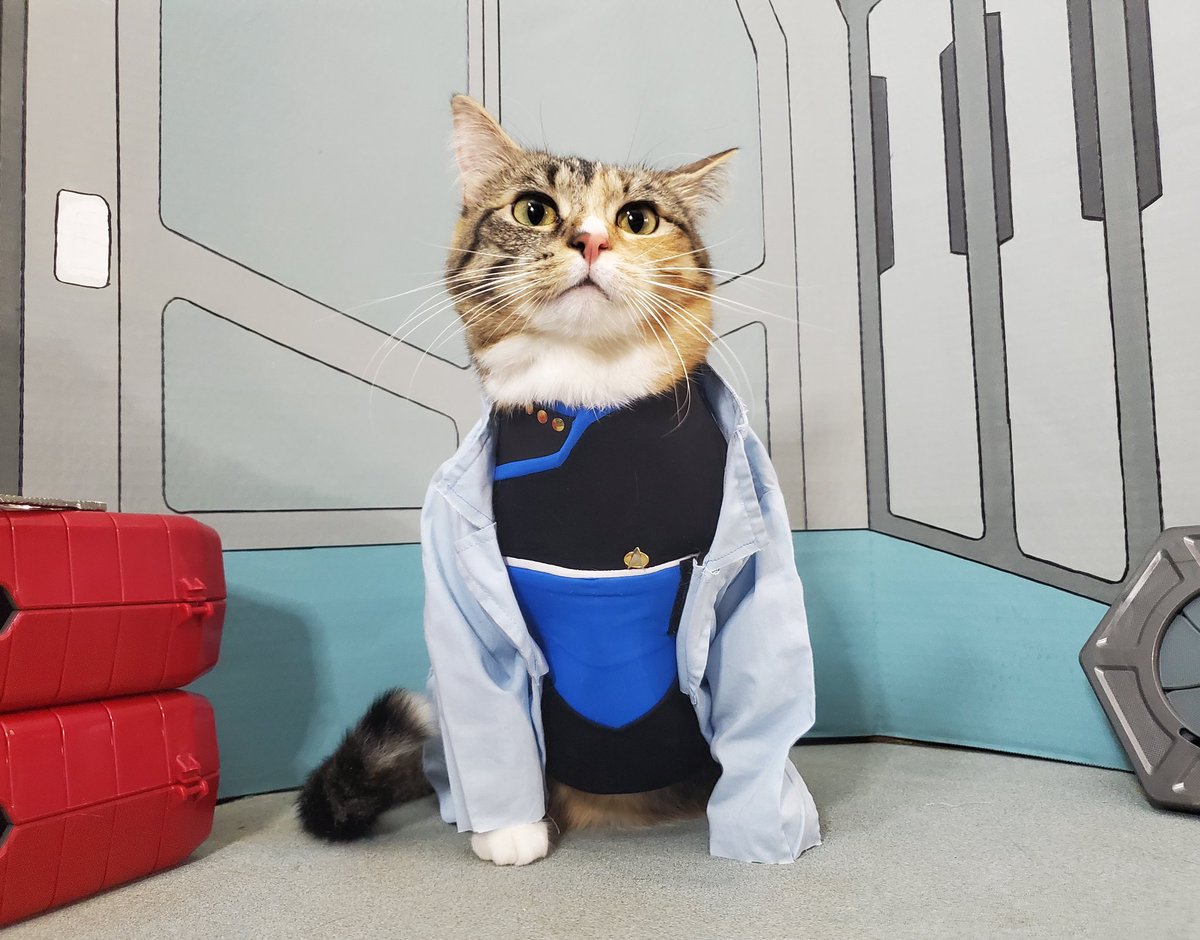 Cat_Cosplay's tweet photo. Here's to T'Ana! 
The best Chief Medical Officer in Starfleet this #Caturday!

#StarTrek #StarTrekLowerDecks https://t.co/sVWhIyDIQI