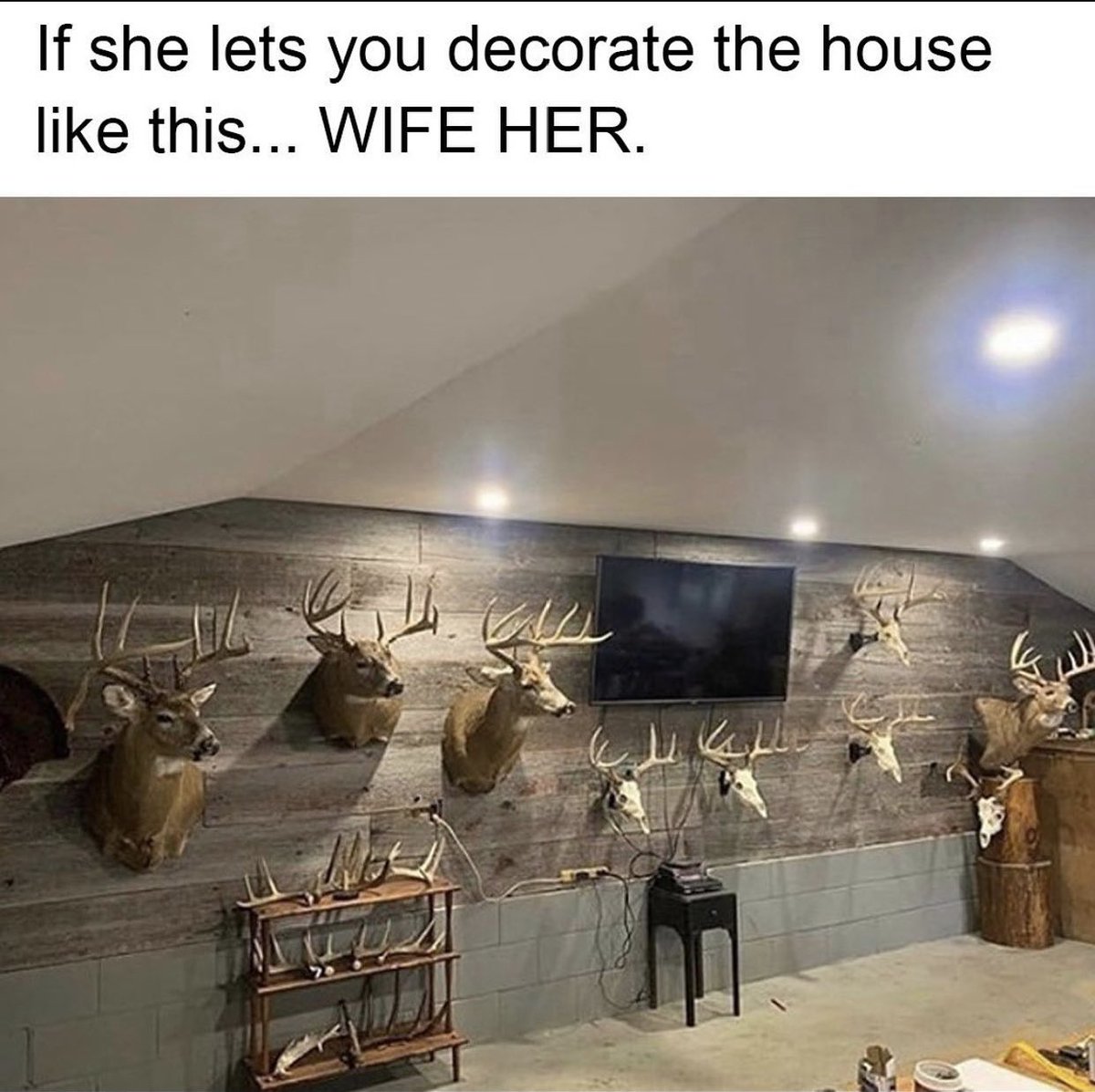 ladderstands's tweet photo. When you know sheβs βthe one!β π
#wifeher #housedecor #taxidermy #deermounts #rustic #decoratewithanimals #hunting #outdoorlife #theone #shesakeeper #marryher #gethitched #hutningwife #hunterswife #antlers #deer #wildlife #homedecor https://t.co/OEMB27HEzX
