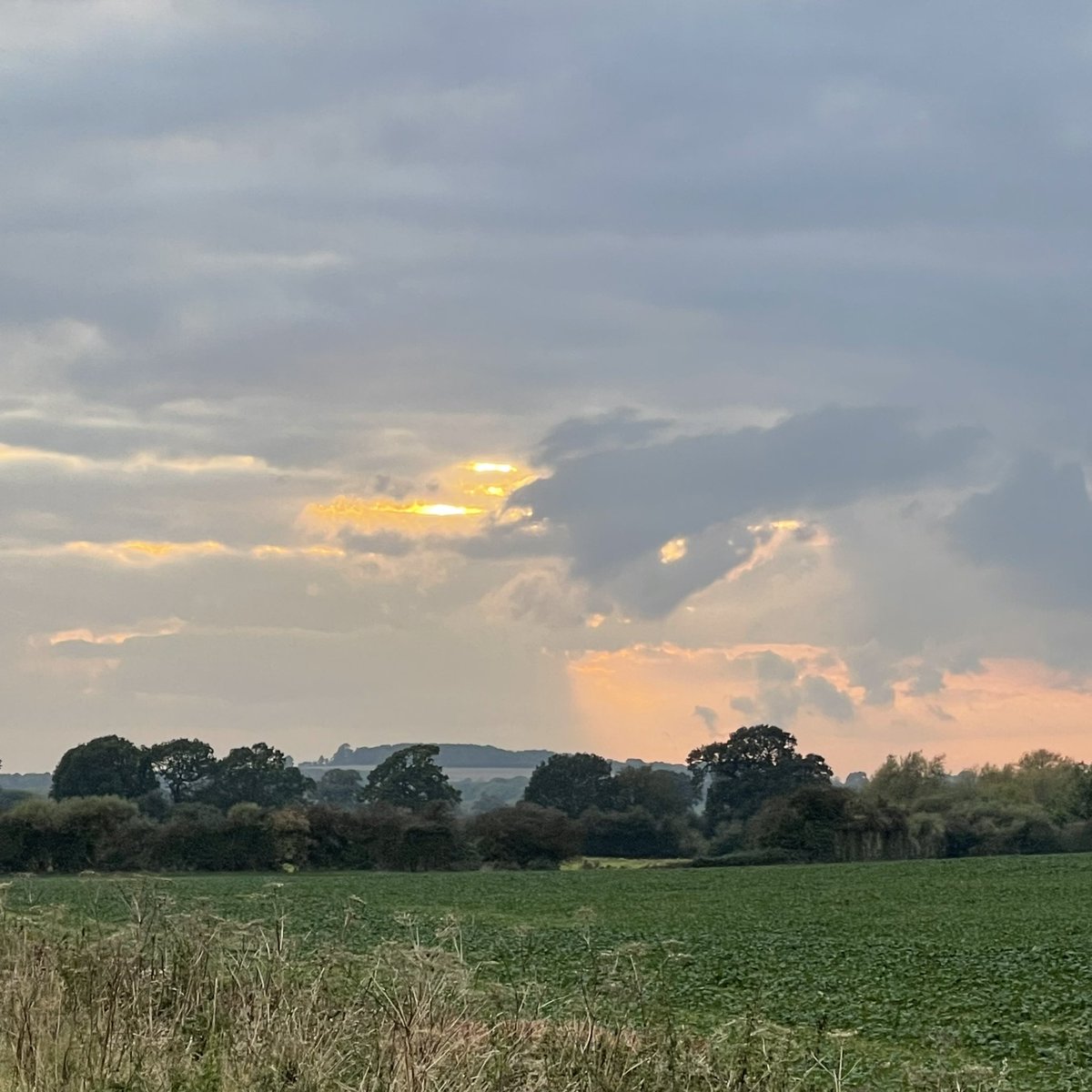 jredden's tweet photo. Sunset, big hills and pumpkins.
.
Nice steady 7km. Chest still a little tight.
.
Get ready for an avalanche of equipment photos, including quite a few of me making my own pulka (aka a very big sled).
.
Maybe a rest day tomorrowโฆ
.
#7KMRun #Oxfordshire #PumpkinHead #chinnor https://t.co/oDNV0zTL5x