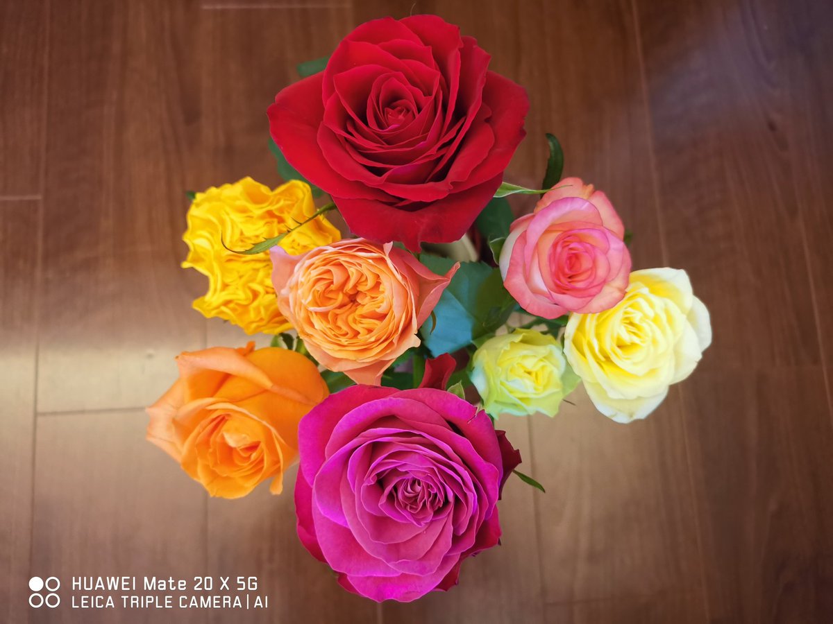 WerthLeon1's tweet image. #Mate10Pro → #Mate20X 5G →　#Mate40ProPlus →#iPhone13Pro
AI オン
パートナーの　#誕生日