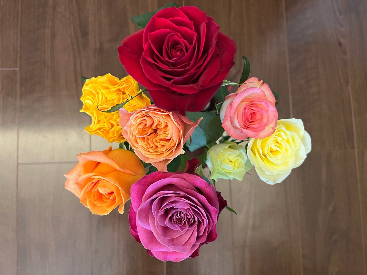 WerthLeon1's tweet image. #Mate10Pro → #Mate20X 5G →　#Mate40ProPlus →#iPhone13Pro
AI オン
パートナーの　#誕生日