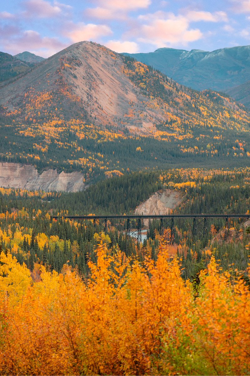 CAMPROBBER_'s tweet photo. Fall in Denali National Park https://t.co/UM2t4w7Q1M