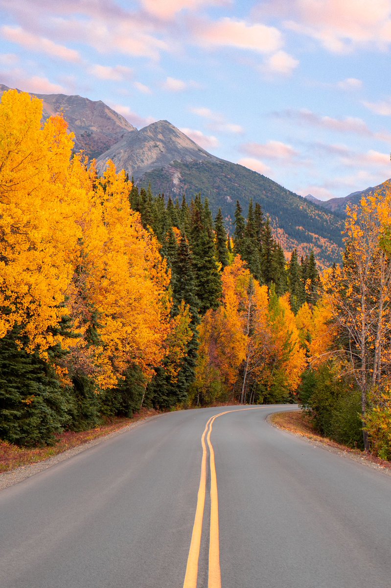 CAMPROBBER_'s tweet photo. Fall in Denali National Park https://t.co/UM2t4w7Q1M