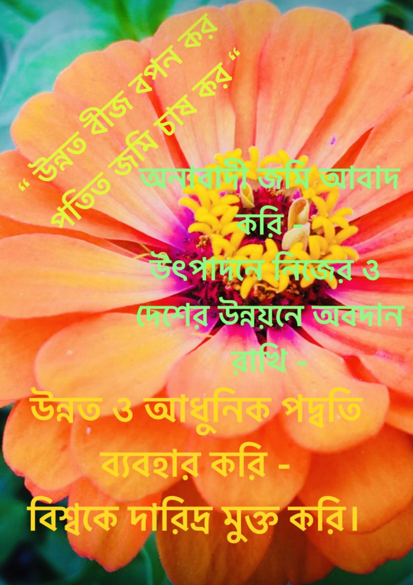 GMMohiuddin4's tweet photo. বিশ্ব খাদ্য দিবস - https://t.co/RCRxRiDxjQ