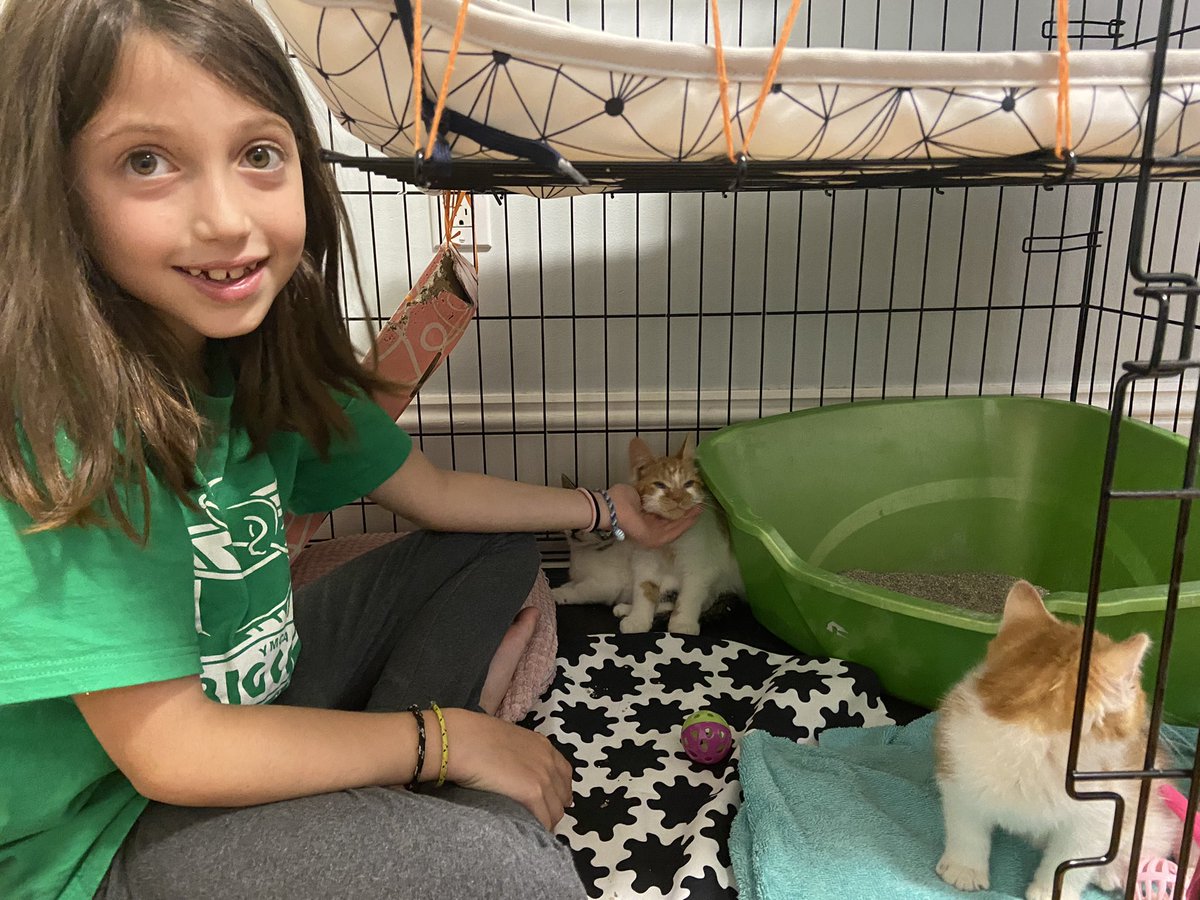 Angela Siegel tweet media