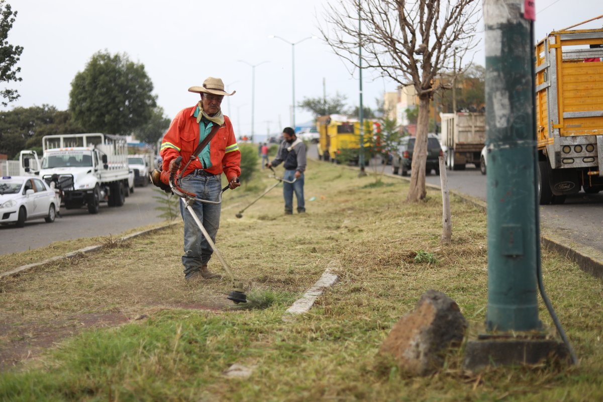AlfonsoMtz_Mx's tweet photo. Agradezco el apoyo de los trabajadores del SIDEMM, a las asociaciones recolectoras, al personal de las diferentes áreas de la Secretaría de Servicios Públicos Municipales que se unieron a las jornadas de limpieza, bacheo, poda y chaponeo de áreas verdes en Villas del Pedregal. https://t.co/0suEYAme9q